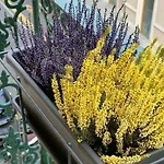 Appartement Casadisam - Comfort E Stile Al Centro