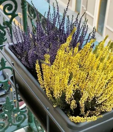 דירה Casadisam - Comfort E Stile Al Centro