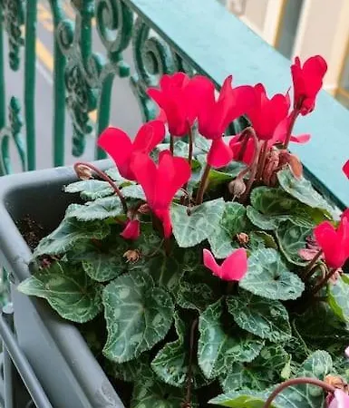 דירה Casadisam - Comfort E Stile Al Centro *