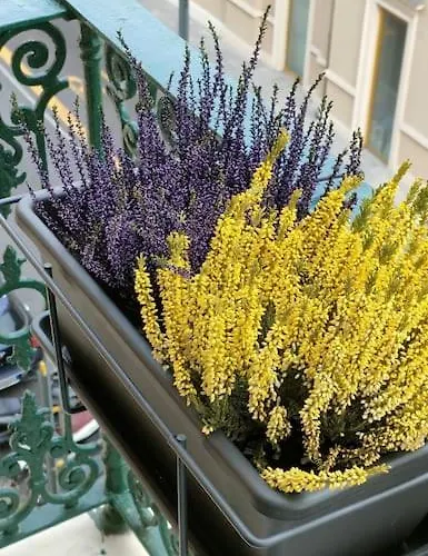 Appartement Casadisam - Comfort E Stile Al Centro